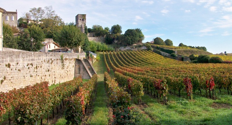 Wine Com Tour De France Wine Com Tour De France