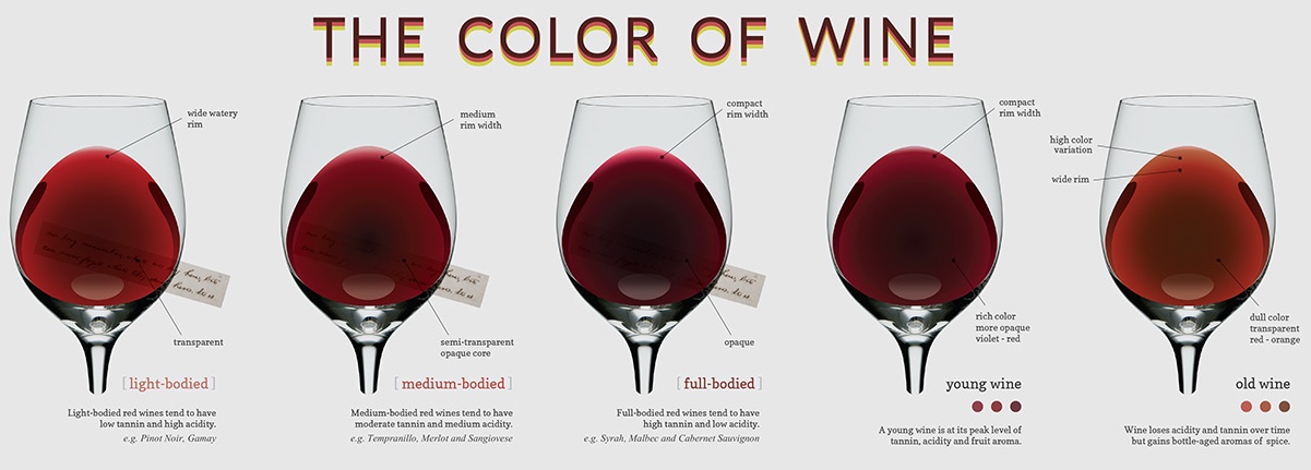 Red Wine Color Chart