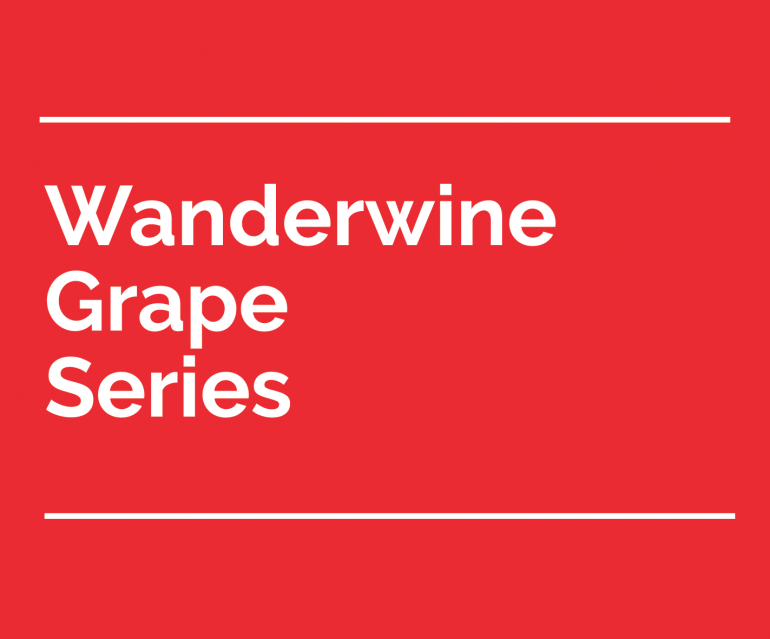 wanderwine grape series